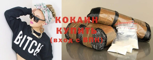 винт Сатка