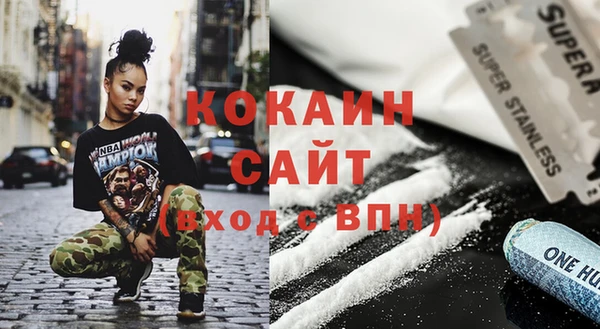 индика Беломорск