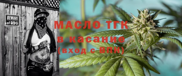винт Сатка